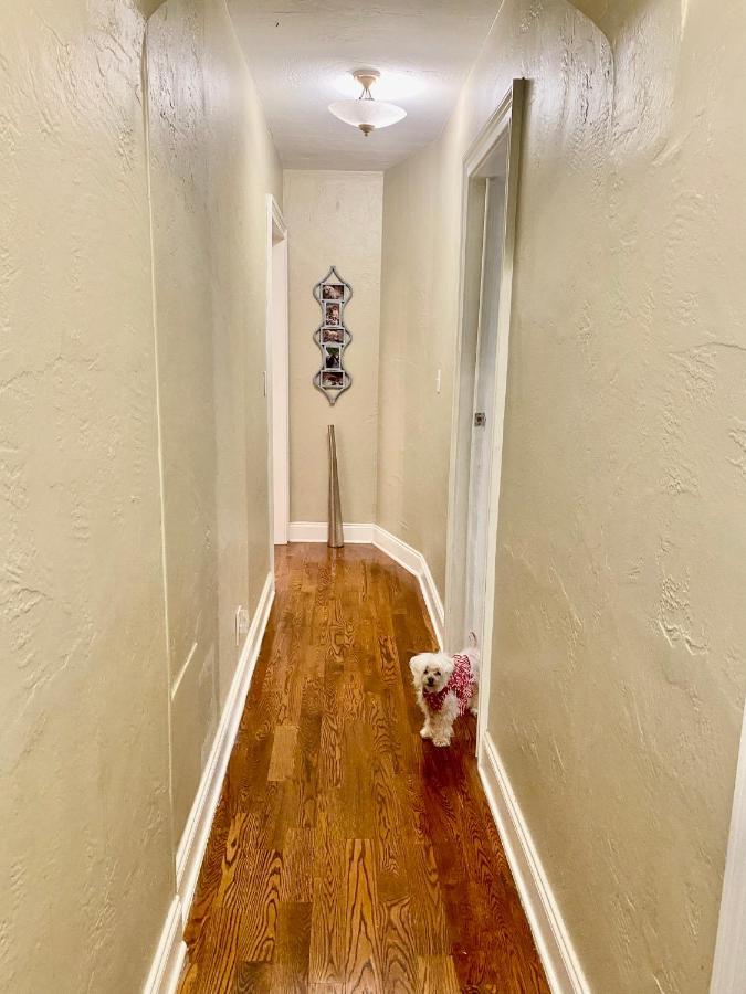 Villa Olivia Guest Rooms 好莱坞 外观 照片